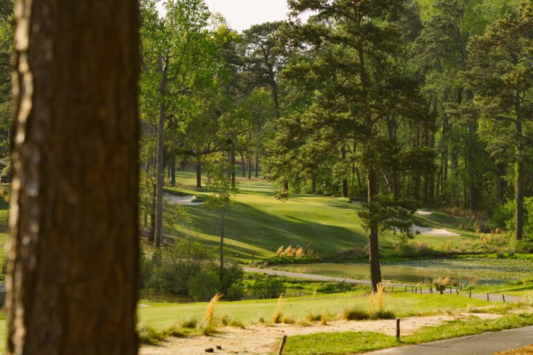 Fairway at Southern Pines Golf Club